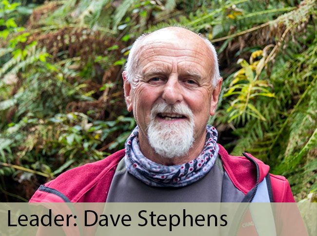 Leader: Dave Stephens